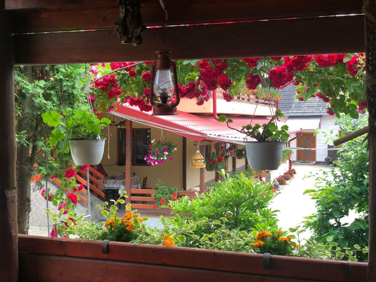 Casa Boico Hotel Gura Humorului Kültér fotó
