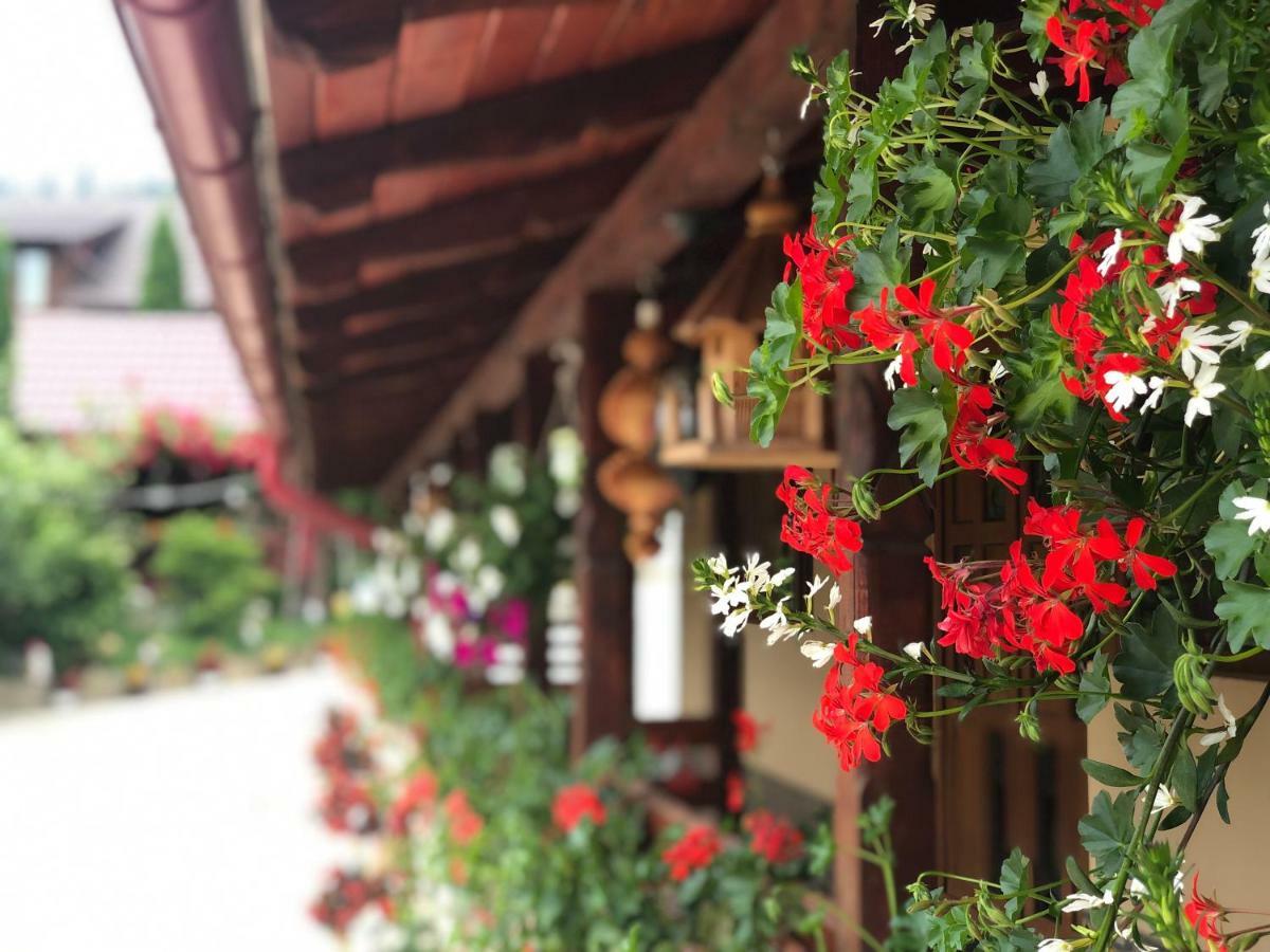 Casa Boico Hotel Gura Humorului Kültér fotó